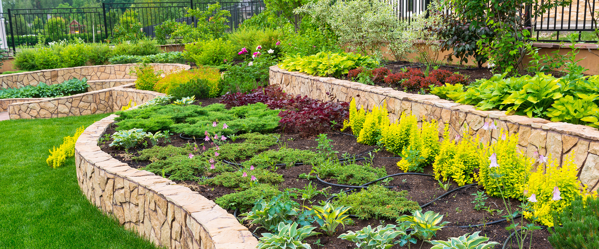 landscaping bushes